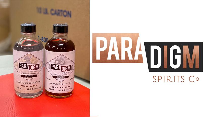paradigm-spirits-1