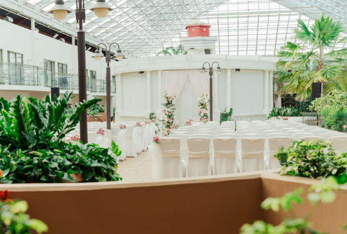 untitled-design-2025-12-10t140517140