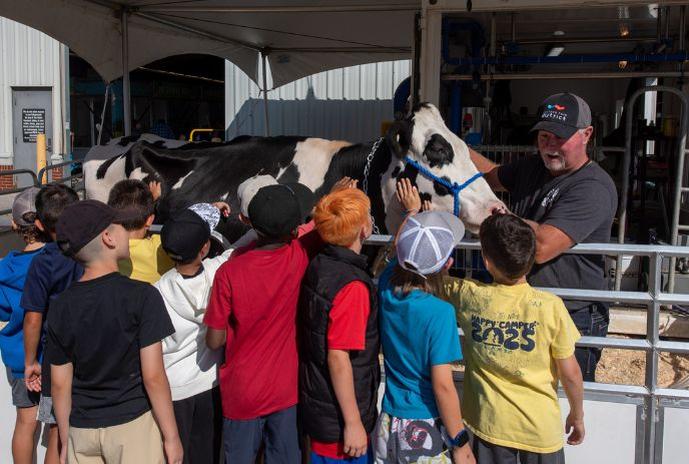 untitled-design-2026-02-17t161207167