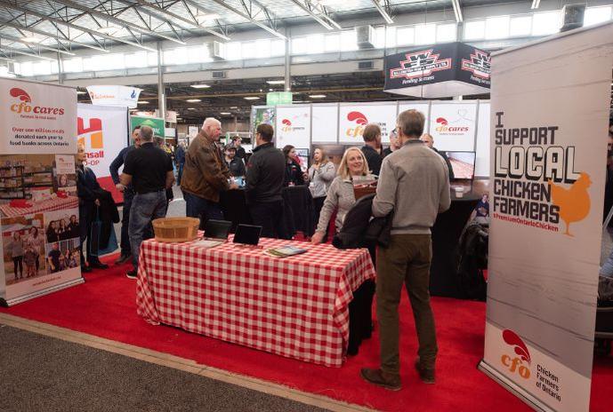 untitled-design-2026-02-18t084602851