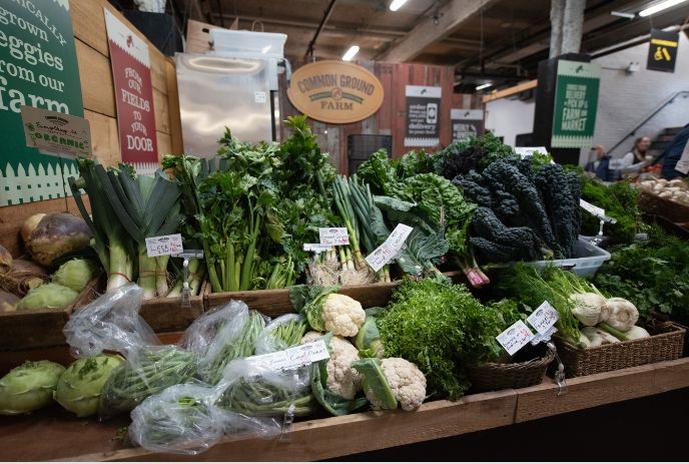 untitled-design-2026-02-18t085037522