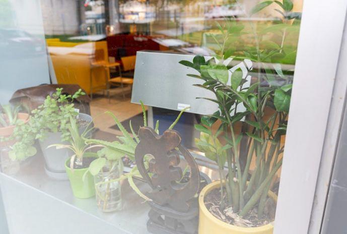 untitled-design-2026-03-19t095051427