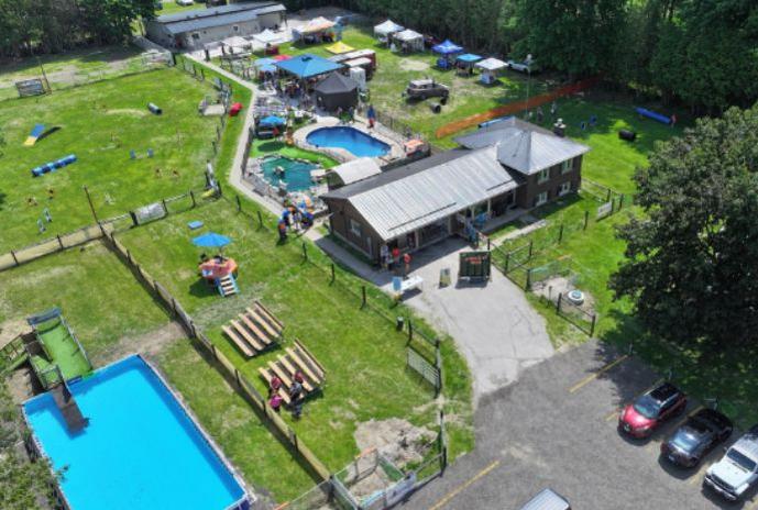 untitled-design-2026-06-11t142211128
