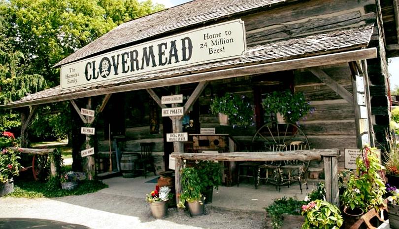 Clovermead Adventure Farm
