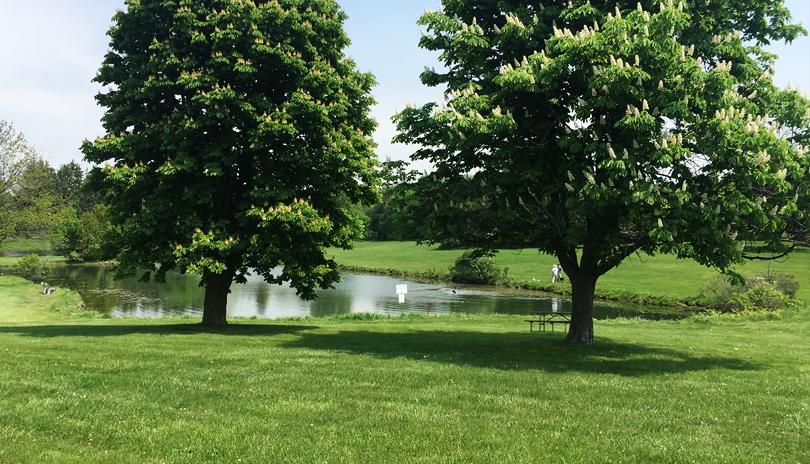 Visit Middlesex