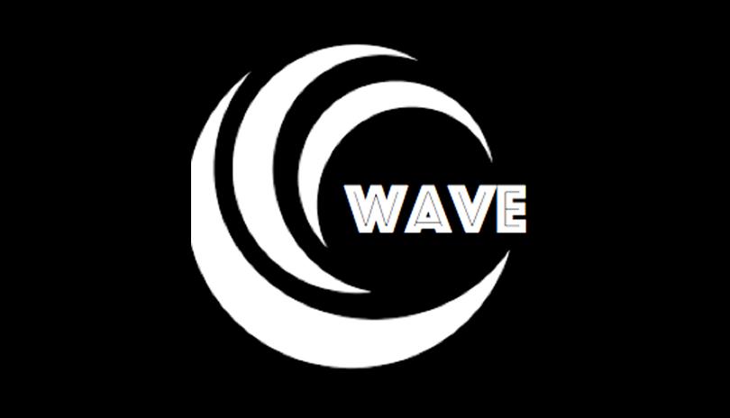 WAVE Limo & Tours