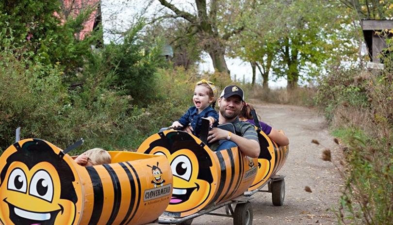 Clovermead Adventure Farm