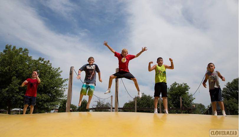 Clovermead Adventure Farm