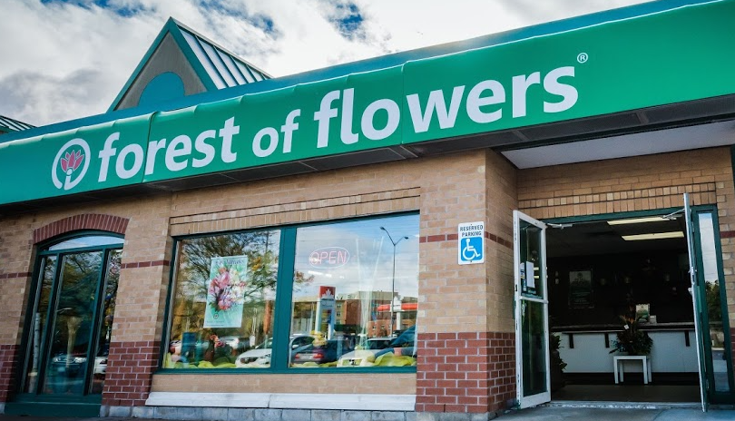 Forest of Flowers