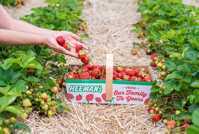 Heeman's Summer strawberries