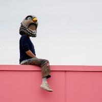 A man in a bird mask sits on a pink wall.