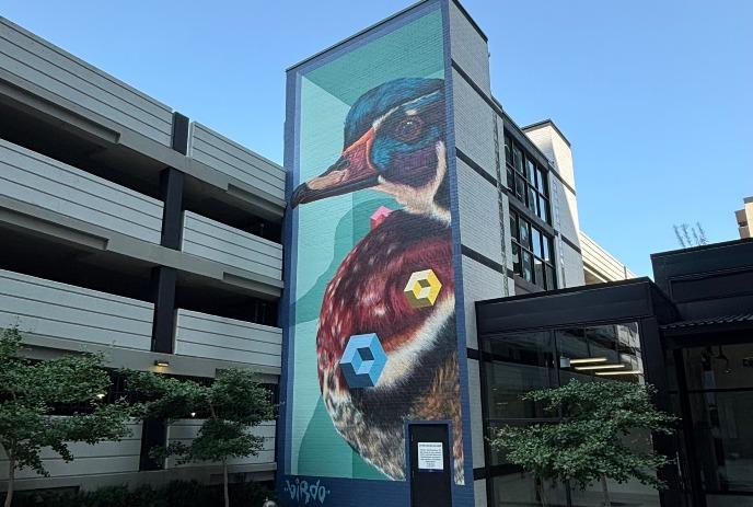 A mural of a Wood Duck with geometric shapes and a 3D effect.