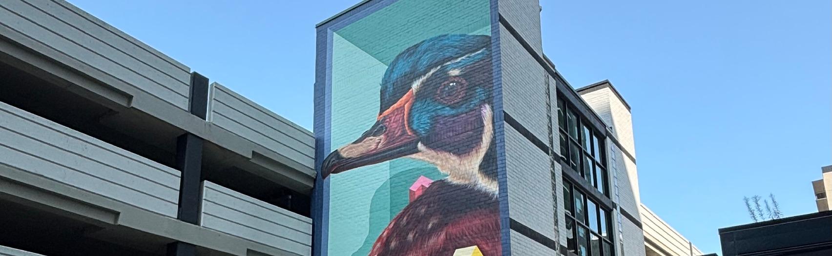 A mural of a Wood Duck with geometric shapes and a 3D effect.