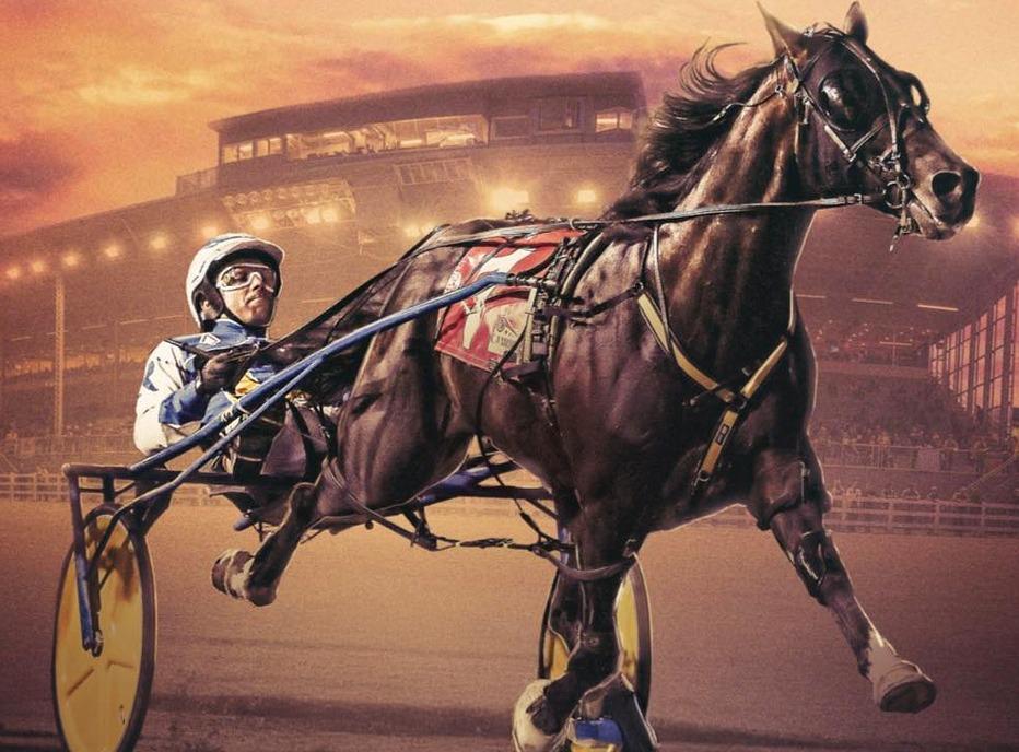 A man racing a horse at the Camluck Classic being held at the The Raceway at Western Fair District located in London, ON