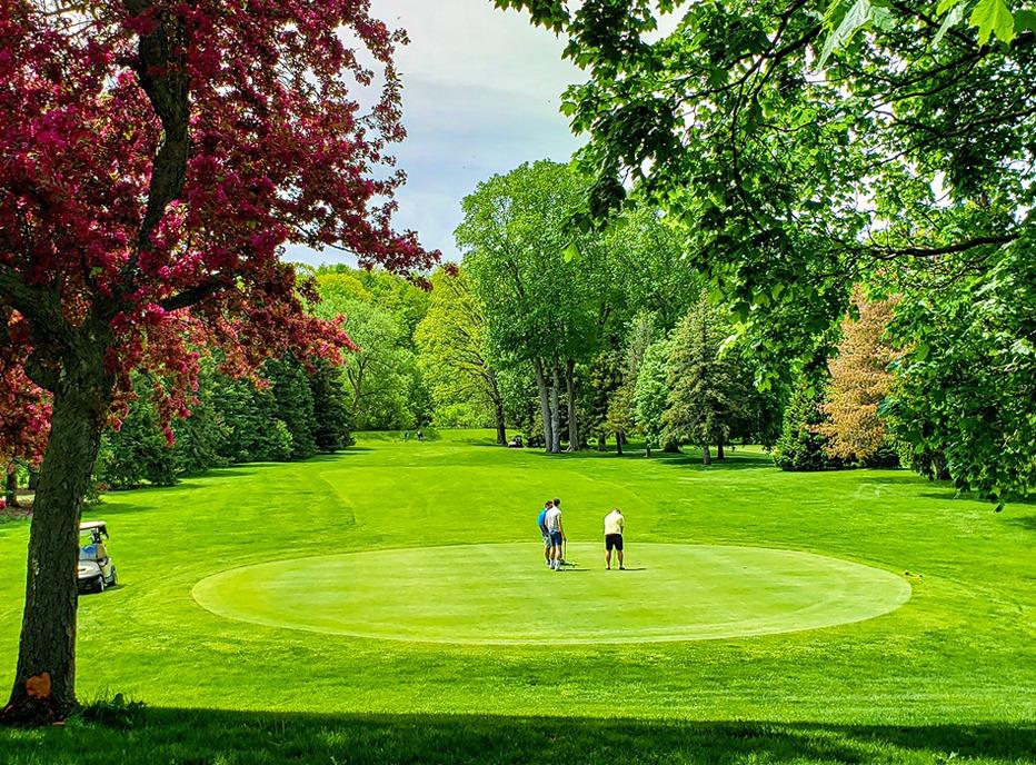 A group of people golfing on a bright sunny day in East Park located in London, Ontario