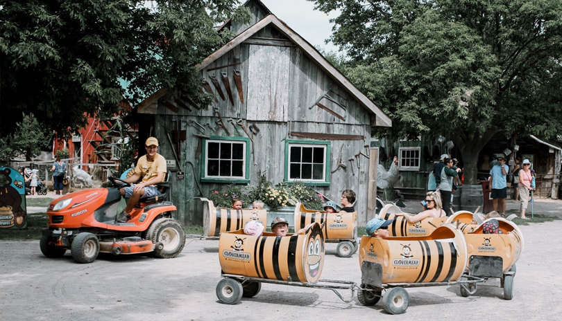 A small tractor pulling children and their parents sitting inside bee shaped compartments with wheels at Clovermead Adventure Farm