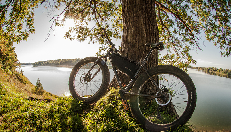 A mountain bike resting on a tree with a large body of water in the background located at the Fanshawe Conservation Area in London, Ontario