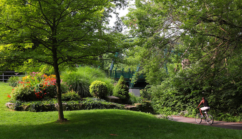 A male cycling on a path in Springbank Park in the summer located in London, Ontario