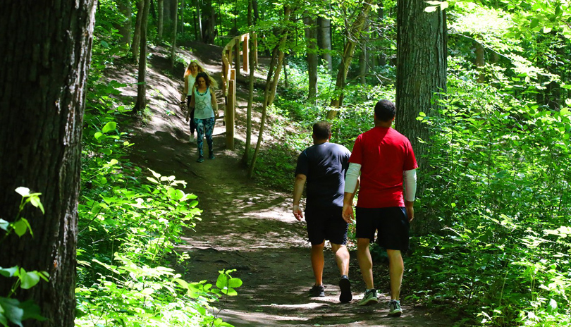 Kains Woods located in London, Ontario