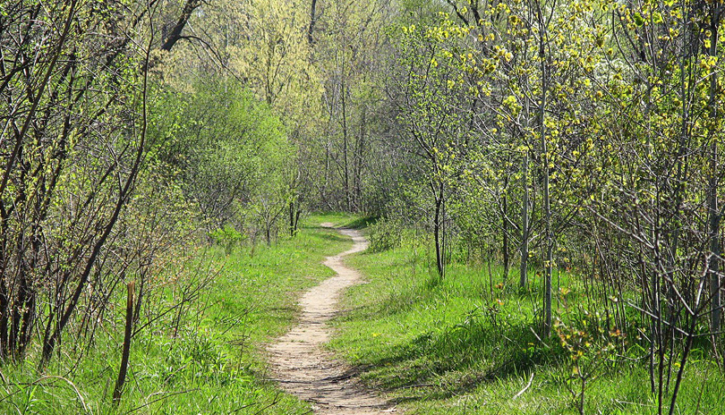 Kilally Meadows located in London, Ontario