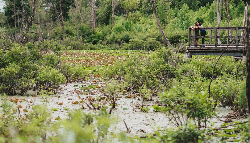 A kid and an adult overlook a pond.