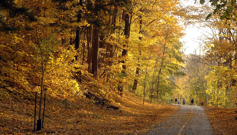 A family walking together on a paved path with fall coloured trees around them in Springbank Park in London, Ontario, Canada