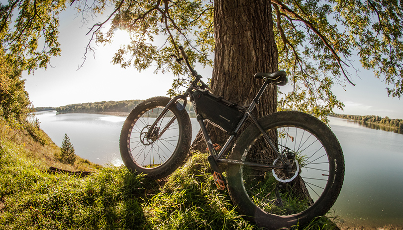 A bike resting on the trunk of a tree overlooking Fanshawe Lake at the Fanshawe Conservation Area located in London, Ontario