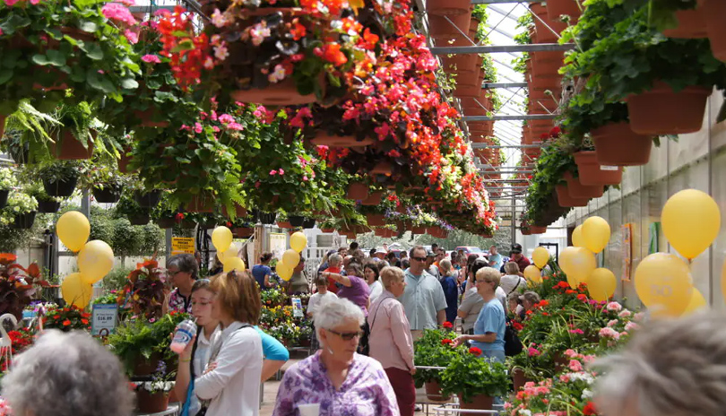 Several people in a large greenhouse with various colourful flowers located at Heeman’s