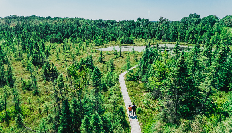 Two males walking on a wooden planked path surrounded by trees in Sifton Bog located in London, Ontario