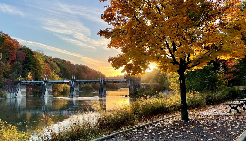 A fall tree in the foreground with the sun rising in the distance at Springbank Park locate din London, Ontario 