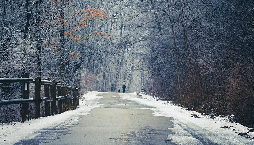 icy road surrounded by trees covered in frost and snow in London, Ontario