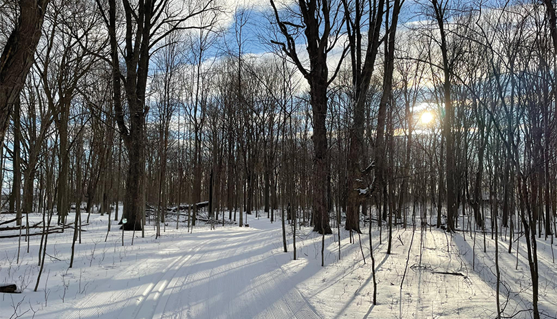 Cross country skiing trail covered in snow on a bright sunny day at Circle R Ranch