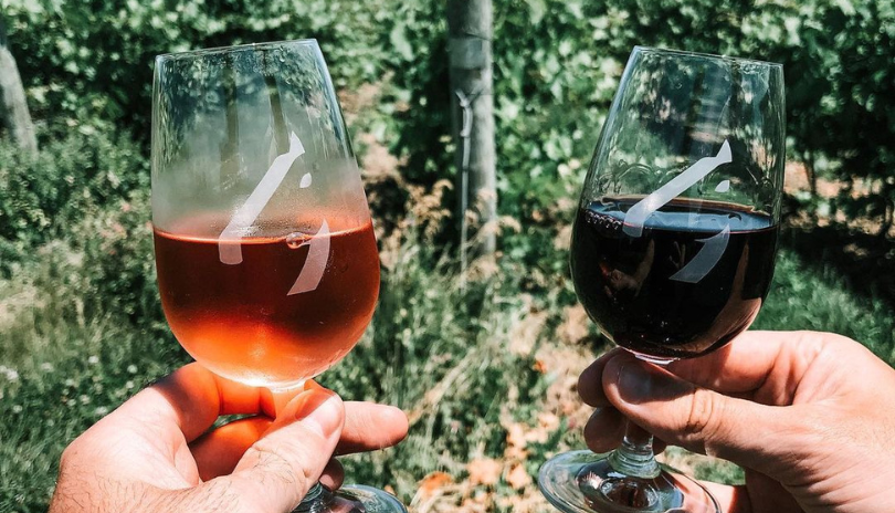 Wine being shared at Dark Horse Winery near Grand Bend, Ontario