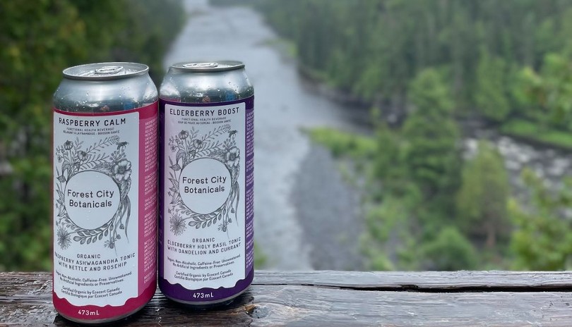 Two cans of Forest City Botanicals drinks on an outdoor ledge in London, Ontario