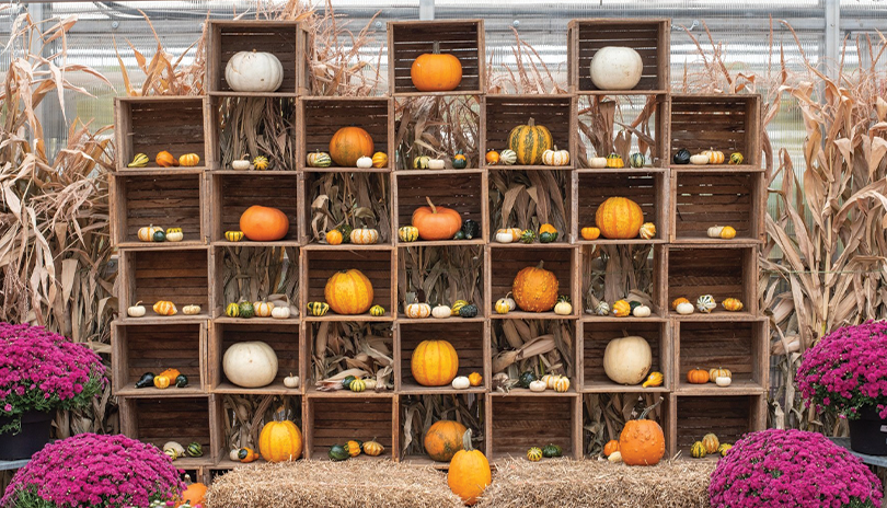 Crates and pumpkins displayed at Heeman's
