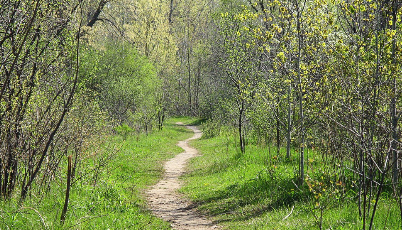 Kilally Meadows • London, Ontario