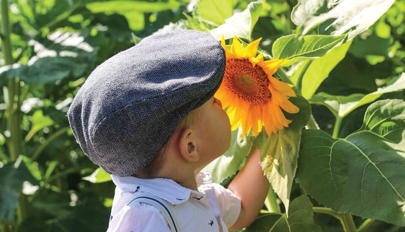 Boy smells a sunflower at Kusterman's Family Farm