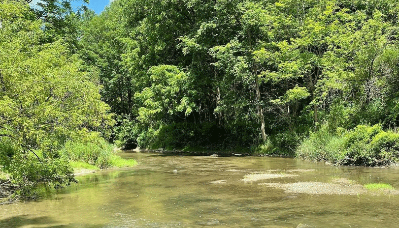 Lower Dingman • London, Ontario - @armurray1 Instagram 