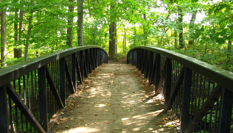 Meadowlily Woods • London, Ontario