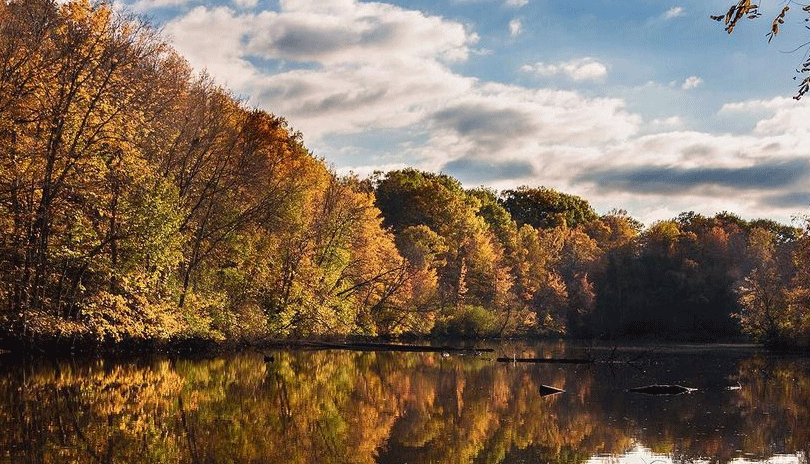 The Coves • London, Ontario - @john_herd Instagram 