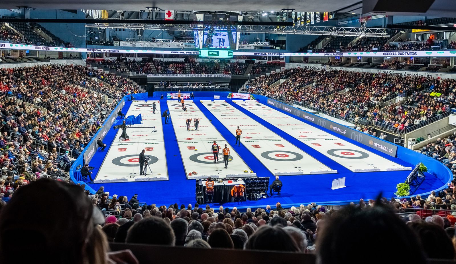 Tim Hortons Brier at the Budweiser Gardens