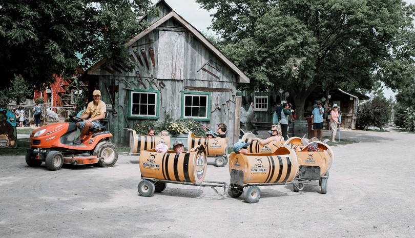 A group of kids and their parents riding in a bee themed tractor at Clovermead Adventure Farm