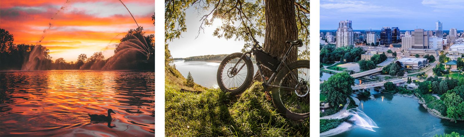 a duck in a river and  a bike leaning against a tree and the forks of the thames river