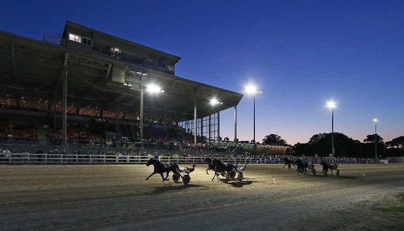 Horses racing under the lights at the Western fair track