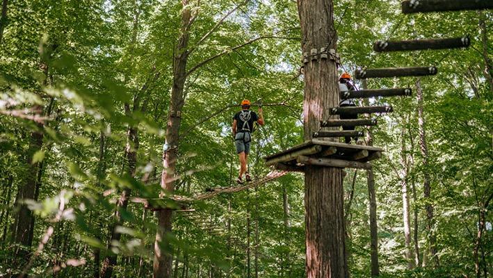 People walking  on a course up high in a forest at the Treetop Adventure Park at Boler Mountain located in London, Ontario