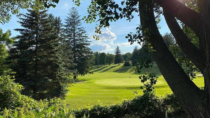 Trees surrounding a golf course in London, Ontario