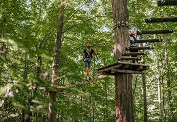 People walking  on a course up high in a forest at the Treetop Adventure Park at Boler Mountain located in London, Ontario