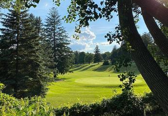 Trees surrounding a golf course in London, Ontario