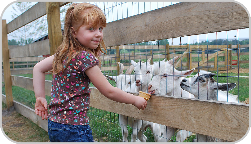 London Discovery Tour – Farm & Family Fun