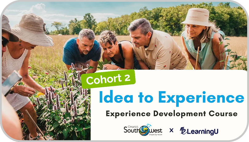 Build Your Next Visitor Experience